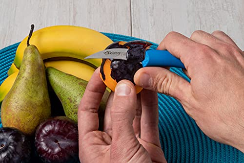Arcos Bird's Beak Paring Knife 2 Inch Stainless Steel. Professional Kitchen Knife for Cut, Peel and Clean Food. Ergonomic Polypropylene Blue Handle. Series Nova - Image 6