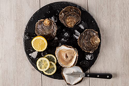 Arcos Oyster Knife, Steel - Image 7