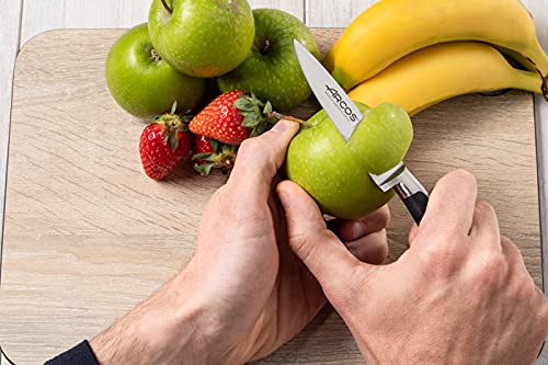 Arcos Paring Knife 4 Inch Stainless Steel. Professional Kitchen Knife for Cut, Peel and Clean Food. Ergonomic Polyoxymethylene Handle and 100 mm Blade. Series Kyoto. Color Black - Image 7