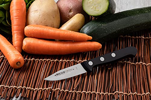 Arcos Rivet Paring Knife 3 Inch Stainless Steel. Kitchen Knife for Peeling Fruits and Vegetables. Ergonomic Polyoxymethylene Handle and 75mm Blade. Series Universal. Color Black - Image 6