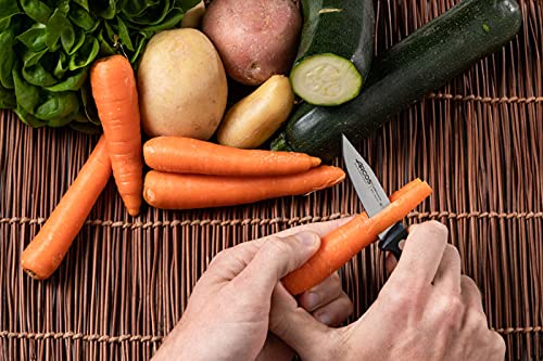 Arcos Rivet Paring Knife 3 Inch Stainless Steel. Kitchen Knife for Peeling Fruits and Vegetables. Ergonomic Polyoxymethylene Handle and 75mm Blade. Series Universal. Color Black - Image 7