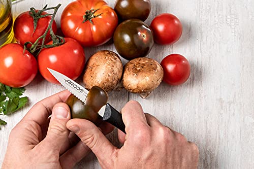 Arcos Serrated Paring Knife for Fruits and Vegetables, Stainless Steel Blade 85 mm, Black Polypropylene Handle, Nova Series - Image 6