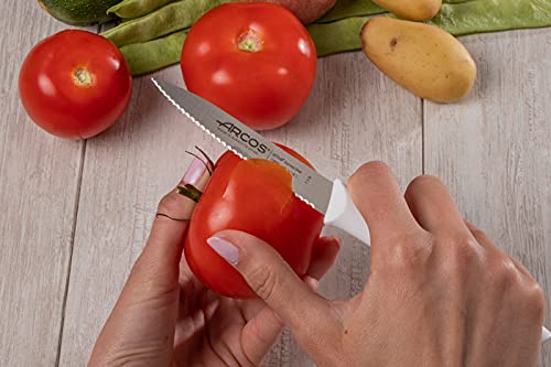 Arcos Serrated Paring Knife for Precise Cutting, 100mm Stainless Steel Blade, Durable NITRUM, White Polypropylene Handle, Nova Series - Image 6