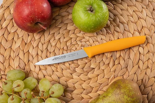 Arcos Stainless Steel Paring Knife for Fruits and Vegetables, 100 mm Blade, NITRUM Technology, Non-Slip Polypropylene Handle, Nova Series - Image 5