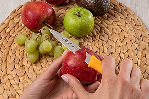 Arcos Stainless Steel Paring Knife for Fruits and Vegetables, 100 mm Blade, NITRUM Technology, Non-Slip Polypropylene Handle, Nova Series - Image 6