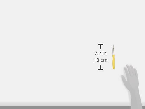 Arcos Stainless Steel Paring Knife, Ideal for Peeling Fruits and Vegetables, 100 mm Blade, Non-Slip Polypropylene Handle, Nova Series - Image 3