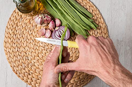 Arcos Stainless Steel Paring Knife, Ideal for Peeling Fruits and Vegetables, 100 mm Blade, Non-Slip Polypropylene Handle, Nova Series - Image 8